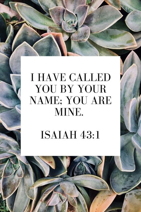 Perfume Label, Isaiah 43, Beautiful Bible Verses, Encouraging Bible Verses, Bible Quotes Prayer, Favorite Bible Verses, God Jesus, Bible Scriptures, Word Of God