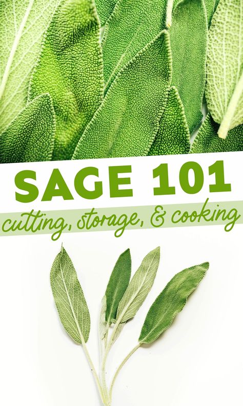 Sage Spice, Chermoula Sauce, Sage Uses, Cooking With Fresh Herbs, Sage Recipes, Sage Herb, Fresh Sage, Herb Recipes, Healing Plants