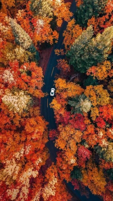 What kind of fall inspo are you looking for this season? Let me know in the comments 🥰 Ipod Wallpaper, Air Photography, Studera Motivation, Fall Background, Autumn Scenery, Fall Feels, Autumn Beauty, Aesthetic Photos, Autumn Vibes