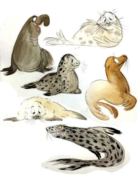 Seal Character Design, Seal Fursona, Sea Lion Drawing, Arctic Illustration, Seal Character, Sea Lion Art, Seal Drawing, Seal Cartoon, Sea Murals