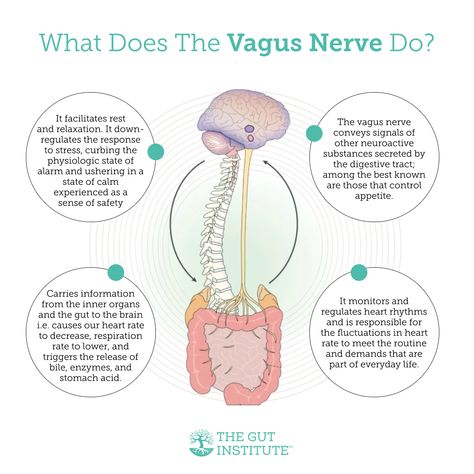 Did you know the vagus nerve is like a built-in 'chill pill' for your body? It helps you relax, reduces stress, controls appetite, and even regulates heart rhythms! 😌💓✨ But here's the real question: How do you tap into the potential of your vagus nerve to enhance your well-being? Share your thoughts below! 👇🧠💭 #VagusNerve #WellnessJourney" Vagal Nerve, Psychology Neuroscience, Future Therapist, Autonomic Nervous System Dysfunction, Vagus Nerve Stimulator, Polyvagal Theory, Nervus Vagus, Medical Projects, The Vagus Nerve