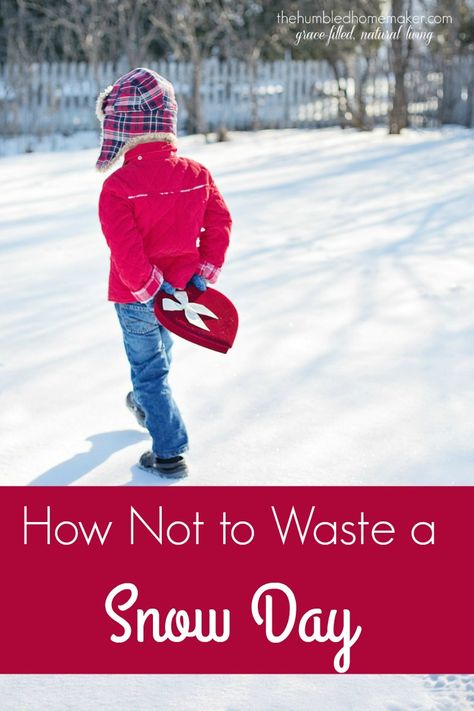 Don't waste a snow day! You can have fun, be productive, and form family traditions that will create memories that will last a lifetime! Here are some suggestions on how to make snow days fun. Homeschool Styles, Bird Cookies, Winter Birds, Baby In Snow, Family Book, Exploring Nature, Study Ideas, Snow Outfit, How To Make Snow