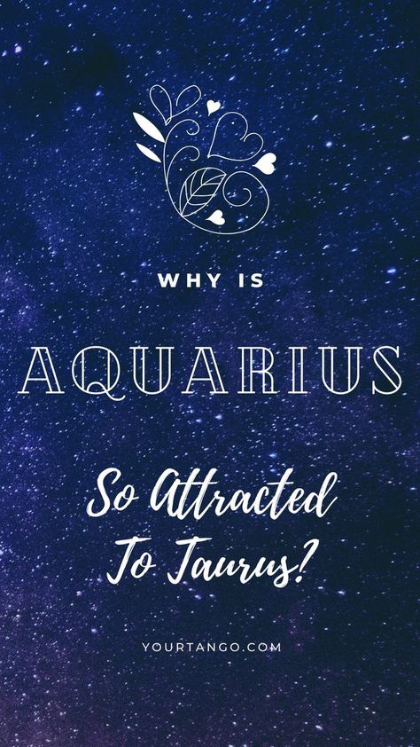 Why Aquarius Is So Attracted To Taurus | YourTango #zodiac #aquarius #love #relationship #taurus Aquarius X Taurus, Taurus Man Aquarius Woman, Aquarius And Taurus Relationship, Aquarius Taurus Compatibility, Aquarius Men Relationships, Aquarius And Taurus, Taurus Relationships, Aquarius Relationship, Horoscope Signs Dates