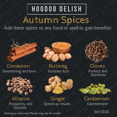 To finish up our spice series! Here’s a recap of all the great autumn spices and what they do in hoodoo! Enjoy! Spices And Their Uses, Samhain Festival, Autumn Spices, Hoodoo Magic, Hoodoo Conjure, Hoodoo Spells, Potpourri Recipes, Witch Herbs, Voodoo Hoodoo