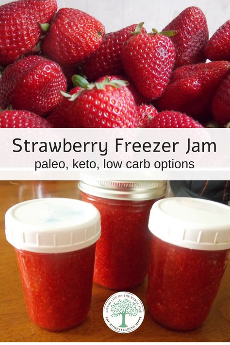 Sugar Free Freezer Jam, Sugar Free Strawberry Jam, Strawberry Freezer Jam, Freezer Jam Recipes, Sugar Free Jam, Freezer Jam, Keto Friendly Desserts, Jam And Jelly, Easy Paleo