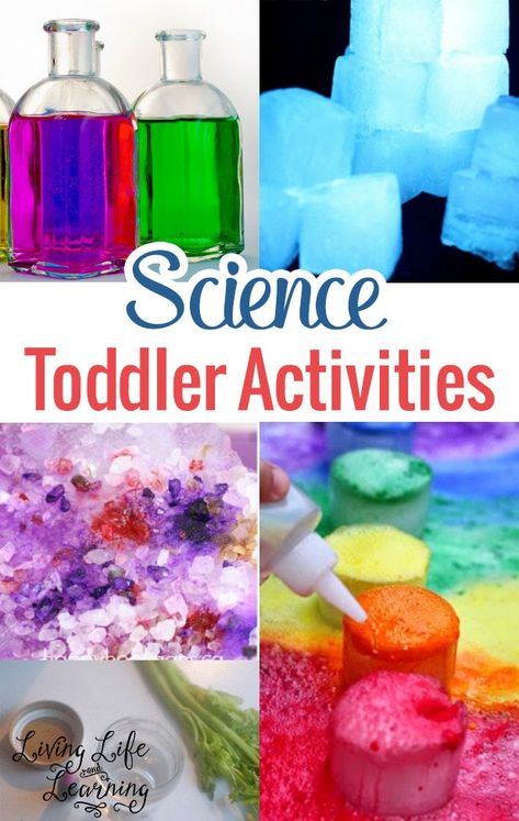 Science Activities For Toddlers, Toddler Stem, Science For Toddlers, Easy Toddler Activities, Space Activities, Job Ideas, Science Activities For Kids, Activities For Toddlers, Toddler Snacks