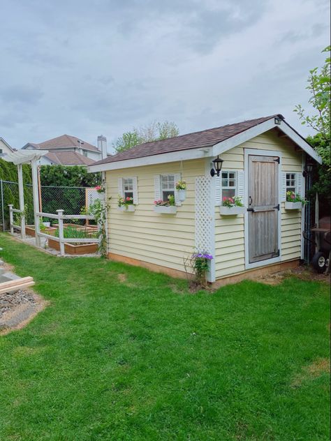 Yellow Garden Shed, Cute Sheds, Shed Patio Ideas, Yellow Shed, Cute Shed, Backyard Vibes, Painted Shed, Chicken Shed, Lemon Painting