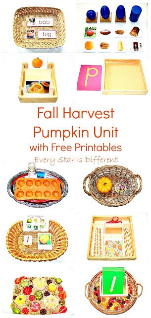 Fall Harvest Pumpkin Unit with free learning activities and printables for kids Harvest Montessori Activities, Free Learning Printables, Montessori Halloween, Pumpkin Preschool, Montessori Shelves, Montessori Trays, Montessori Activities Preschool, Pumpkin Unit, Fall Lesson Plans