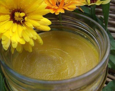 Learn all about the marvellous marigold and how to make an excellent salve for the skin | Irish Examiner Calendula Salve, Calendula Cream, Calendula Flower, Diy Body Care, Living Essentials, Herbal Oil, Be Natural, Medicinal Herbs, Natural Home