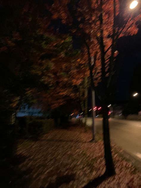 Orange leaves, autumn, night, road, street, fall, trees, sidewalk, lighting, shadows, aesthetic, streetlight, fall leaves Fall At Night, Shadows Aesthetic, Sidewalk Lighting, Night Road, Fall Night, Fall Nights, Fall Trees, Orange Leaves, Leaves Autumn