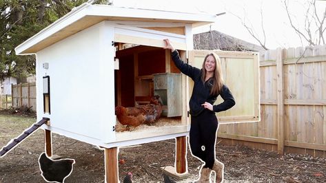 8 Chicken Coop, Easy Clean Chicken Coop, Dream Chicken Coop, Rooster House, Hen Or Rooster, Backyard Homestead, Chicken Roost, Small Chicken Coops, Chicken Care