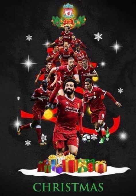 Liverpool Christmas Wallpaper, Liverpool Fc Aesthetic Wallpaper, Liverpool Background, Liverpool Background Iphone, Liverpool Live Wallpaper, Lfc Wallpaper, Liverpool Football Club Wallpapers, Liverpool You'll Never Walk Alone, Liverpool Soccer