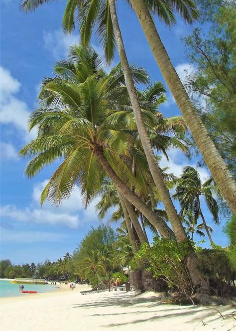 Rarotonga, Cook Islands Rarotonga Cook Islands, Island Food, Cook Islands, Sweet Life, Island Life, Places Around The World, Summer Travel, Summer Vacation, Palm Trees