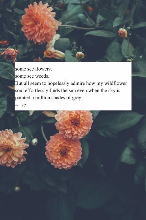 Flower Quotes Short, Wildflower Quotes, Cosmetic Injections, Wednesday Mood, Beautiful Short Quotes, Souls Quotes, Wild Flower Quotes, Planners And Organizers, Most Beautiful Words