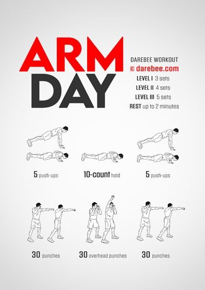 No-Equipment Arms Workouts Collection Intense Arm Workout, Arm Workout No Equipment, Arm Day Workout, Arm Workout For Beginners, Dumbbell Arm Workout, Good Arm Workouts, Tone Arms Workout, Hiit Workout Routine, Arm Workouts At Home