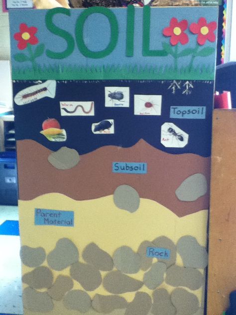 Soil Bulletin Board used for a grade 3 classroom. Grade 3 Soils Unit, Soils In The Environment Grade 3, Soil Craft, Grade 3 Classroom, Layers Of Soil, Soil Activities, Poster Board Ideas, Grade 3 Science, Soil Science