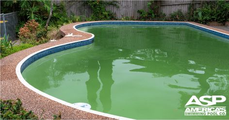 Pool Cleaning Tips, Pool Algae, Green Pool, Pool Skimmer, Pool Liner, Pool Service, Green Algae, Pool Filters, Fish Pond