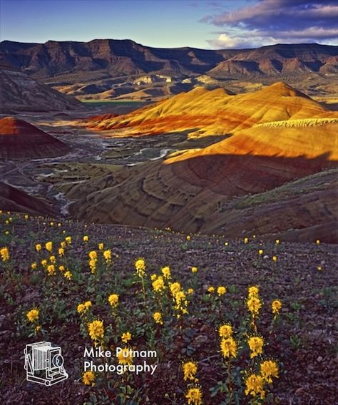 Oregon Waterfall Hikes, Painted Hills Oregon, Unique Yard Art, Oregon Landscape, Oregon Waterfalls, Painted Hills, Landscape Images, Eastern Oregon, Fine Art Landscape Photography