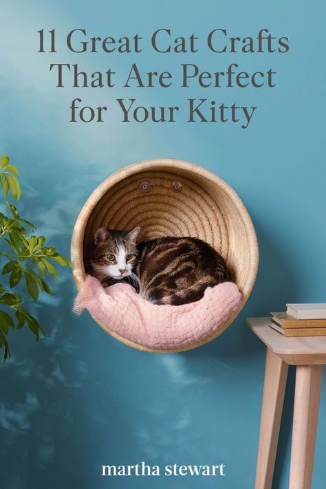 Whichever DIY idea you decide on, we're paw-sitive that any cat will adore these handmade toys and surprise treats. #marthastewart #pets #diypets #petbeds #petfurniture #diyprojects Diy Pet Room Ideas, Diy Catio Toys, Decorating Diy Ideas, Cat Wall Bed Diy, Diy Catification Ideas, Diy Cat Cubby, Diy Crafts For Cats, Cat Wall Boxes Diy, Cat Projects Diy Ideas