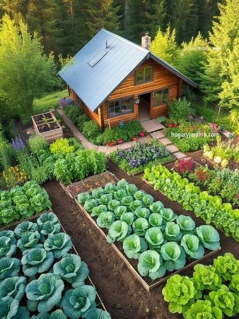 Vertical Vegetable Garden Design, Garden Ideas With Plastic Bottles, Gardens Photography, Dream Backyard Garden, Front Garden Landscape, Farm Layout, Vegetable Garden Diy, Indoor Vegetable Gardening, Plants Nature