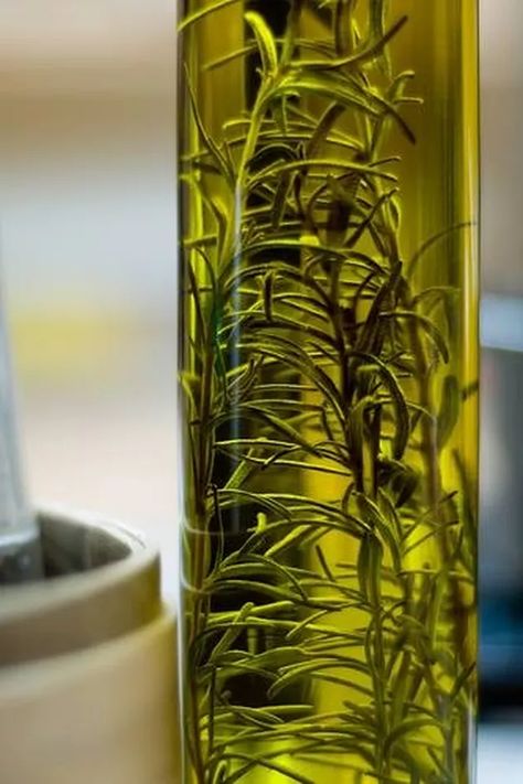 How to Infuse Olive Oil With Rosemary Infused Oil Recipes, Herb Infused Olive Oil, Rosemary Recipes, Preserving Herbs, Flavored Olive Oil, Olive Oil Recipes, Infused Oil, Herb Recipes, Infused Olive Oil