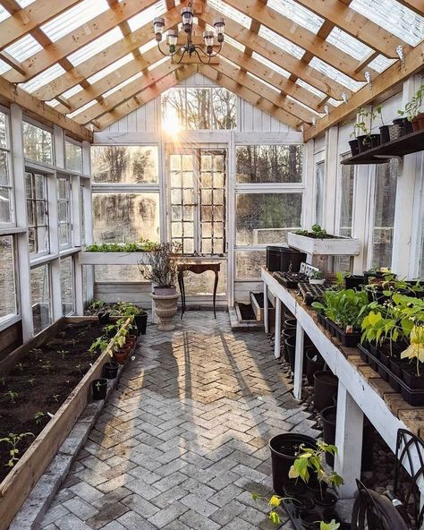 All Window Greenhouse, Old Glass Window Greenhouse, Greenhouse Window Ideas, Antique Windows Greenhouse, Four Season Greenhouse, Greenhouse Stained Glass Windows, Window Pane Greenhouse, Greenhouse With Windows, Greenhouse Made Of Windows