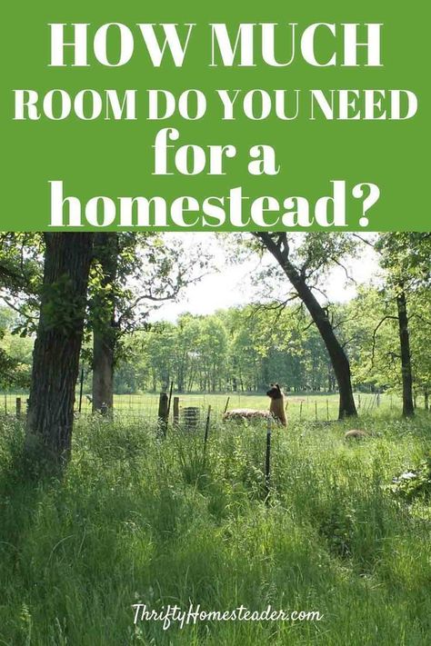 Homesteading Urban, Suburban Homesteading, Homestead Layout, Acre Homestead, Homestead Life, Homestead Ideas, Primitive Survival, Homesteading Skills, Homestead Living