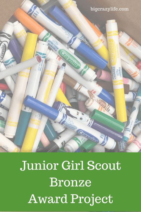 Junior Girl Scouts Activities, Girl Scout Brownies Meetings, Junior Girl Scout Badges, Girl Scout Silver Award, Girl Scout Meeting Ideas, Girl Scout Troop Leader, Girl Scout Badges, Girl Scout Activities, Troop Leader