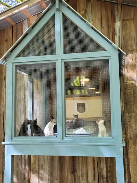 This Patterns & Blueprints item by Catio828 has 331 favorites from Etsy shoppers. Ships from United States. Listed on Apr 25, 2024 Catio Aesthetic, Cat Inclosers Outside, Catios Ideas For Cats, Catios For Cats Window, Cat Garage, Cat Room Ideas, Cat Catio, Cat Hut, Ideas For Cats