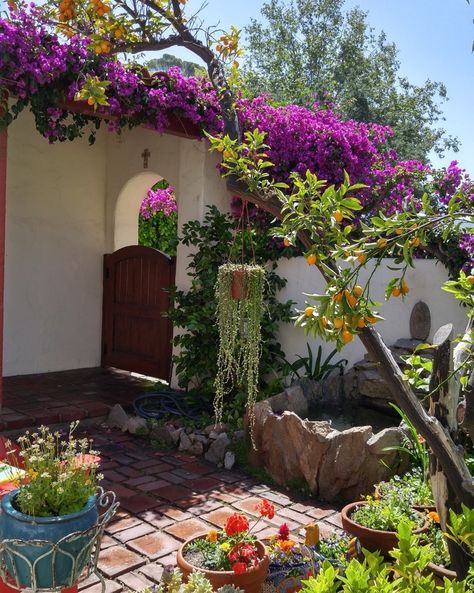 Hacienda Style Patio Outdoor Spaces, Mexican Front Yard Landscaping, Spanish Style Landscaping, Mexican Garden Hacienda Style, Mexican Garden Ideas, Mexican Gardens, Mexican Backyard, Mexican Garden, Hacienda Homes