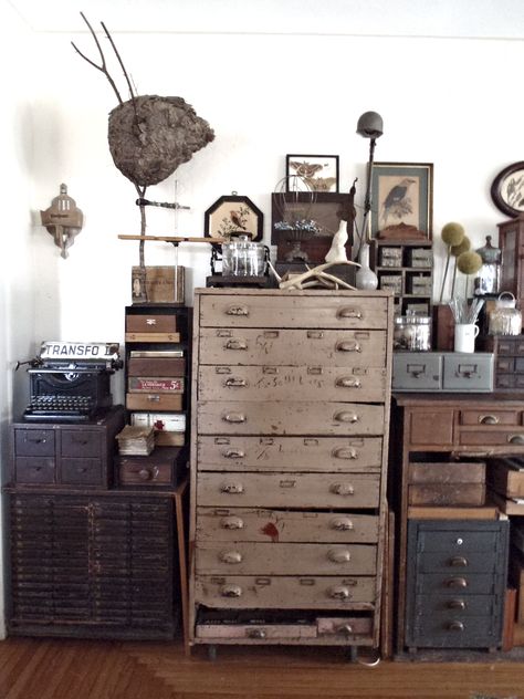 Dental cabinets, printer's desk, bank cabinet from the 1800s... Ideal specimen cabinets for storage and display. Specimen Cabinet, Craft Studio Design, Victorian Naturalist, Dental Cabinets, Goblin Aesthetic, Build Ins, Farm Studio, Drawer Ideas, Cabinets For Storage