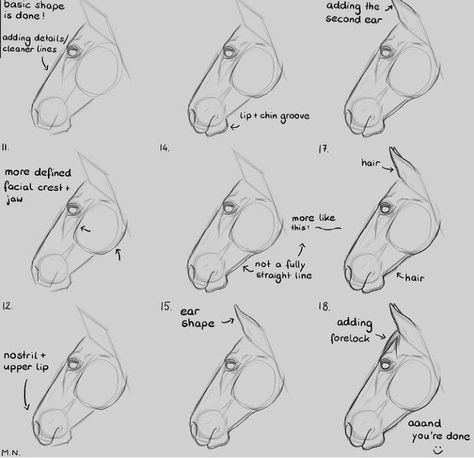 Horse Head Drawing Reference, Horse Tutorial Drawing, Friesian Horse Drawing, Horse Art Tutorial, Fjord Horse Drawing, Horse Head Drawing Easy, How To Draw Horses Step By Step, Horse Head Reference, How To Draw A Horse Head