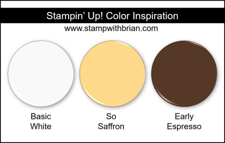 Stampin Up! Color Inspiration - Basic White, So Saffron, Early Espresso Pink Pool, Crumb Cake, Designer Series Paper, Beautiful Color Combinations, Paint Schemes, Paper Pumpkin, Card Kit, White Ink, Simple Cards