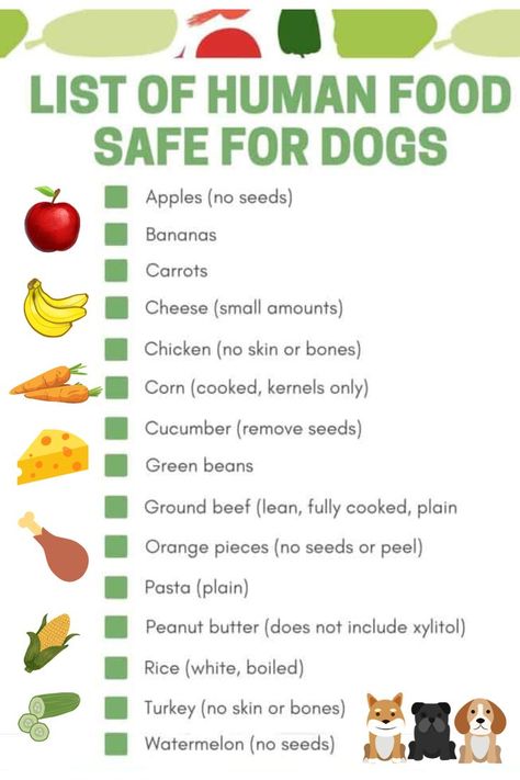 Fruit Dogs Can Eat, Dog Food Recipes Crockpot, Stop Puppy Biting, Human Food For Dogs, Foods Dogs Can Eat, Pet Treats Recipes, Easy Dog Treat Recipes, Food For Dogs, Training Puppy