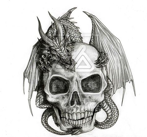 Skull Dragon Simple Dragon Drawing, Skull Dragon, Tattoo Trend, Tattoo Templates, Snake Art, Dragon Tattoo Designs, Skull Tattoo Design, Desenho Tattoo, Dragon Drawing