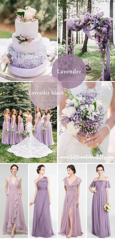 2023 fall wedding color palette in lavender and lavender blush Heather Purple Wedding, Ivory Lavender Wedding, Jade And Lavender Wedding, Purple Lavender Wedding Theme, Lavender Wedding Scheme, Lilac And Light Grey Wedding, Dusty Rose And Lavender Wedding, Lavender And Brown Wedding, Lilac Wedding Color Schemes