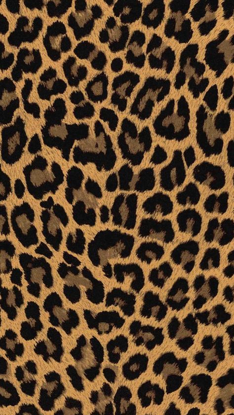 Houston Trip, Leopard Print Wallpaper, Cheetah Print Wallpaper, Animal Print Background, طابع بريدي, Animal Print Wallpaper, Print Iphone, Iphone Wallpaper Photos, Iphone Prints