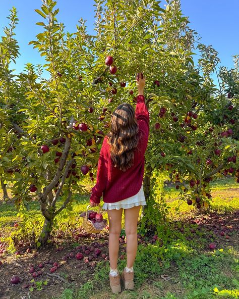 the apple to my pie🍎🧺🍁🤎 #fallaesthetic #fallvibes #falloutfit #falloutfits #fallfashion #fallseason #fallstyle #applepicking #appleorchard Tree Decoration Ideas, Fashion Fails, Fall Inspo, Fall Photoshoot, Fall Feels, Best Seasons, Apple Picking, Fall Fits, Fall Pictures