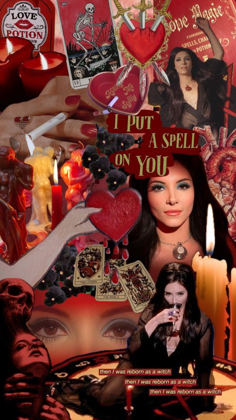 #lovewitch #thelovewitch #tarot #witchcraft #witch #magic #whimsigoth Coven Witch Aesthetic, Witchy Vampire Aesthetic, Witch Moodboard Aesthetic, Witch Background Wallpapers, Siren Personality, Helena Aesthetic, Pagan Wallpaper, Whimsigoth Lockscreen, The Love Witch Aesthetic