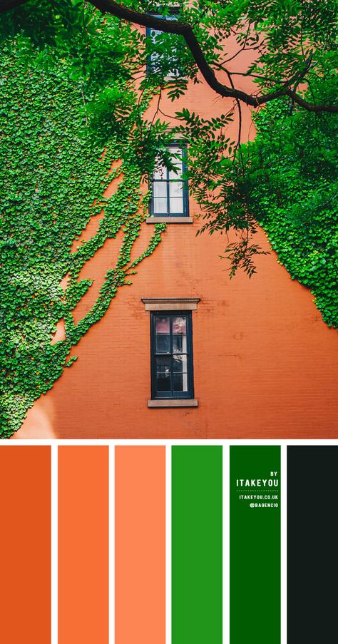 Green Terracotta Color Palettes, Green And Terracotta Color Scheme, Terracotta Color Scheme, Wedding Terracotta, Green And Terracotta, Terracotta Color Palette, Terracotta And Green, Blue Shades Colors, Green Color Combinations