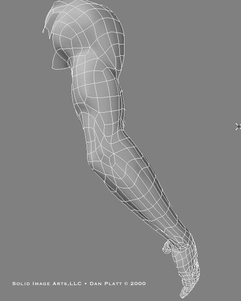 Arm Topology, Hand Topology, Zbrush Environment, Zbrush Alpha, Face Topology, Zbrush Anatomy, 3d Topology, Zbrush Tips, Zbrush Hair