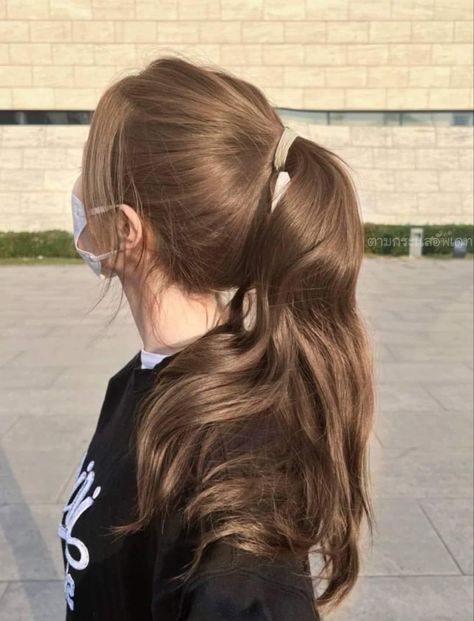 Korean Hair Color, Brown Hair Looks, Brown Hair Inspo, Pretty Hair Color, Hair Tutorials For Medium Hair, Hair Inspiration Color, Hair Inspo Color, Light Brown Hair, Brown Hair Colors