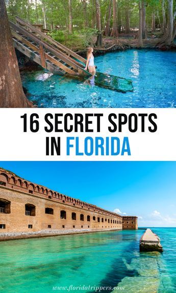 Places To Visit In Florida, Florida Vacation Spots, Florida Travel Destinations, Florida Travel Guide, Southern Travel, Road Trip Places, Florida Destinations, Vacation Locations, Visit Usa