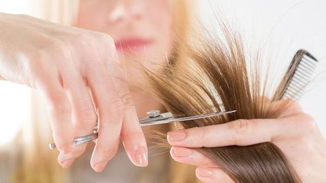 Guess what, it's time for a change, and we're going to begin with your hair. Take this quiz to find out which of these haircuts would look great on you! What Haircut Should I Get, Beauty Salon Marketing, Brunette Hair Cuts, Hair Questions, Haircut Long Hair, Teased Hair, Haircut Long, Red To Blonde, Crimped Hair