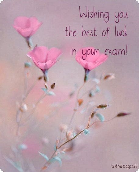 Exam Wishes For Girlfriend, Best Of Luck For Exams, All The Best Messages, Prayer Before Exam, Exam Messages, Exam Good Luck Quotes, Wishing Good Luck Quotes, Exam Wishes Good Luck, Best Wishes For Exam