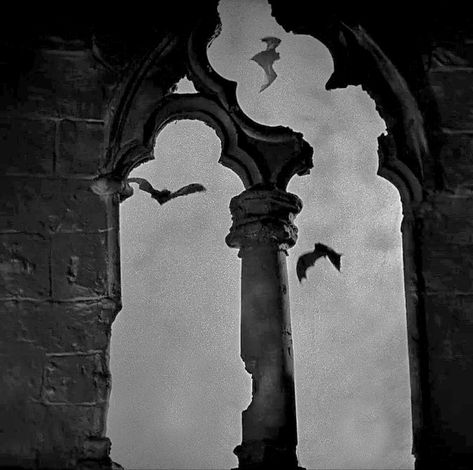 Dracula 1931, Gothic Academia, Castle Window, Mavis Dracula, Dracula Castle, Tim Burton Style, Dramatic Arts, The Count, Gothic Aesthetic