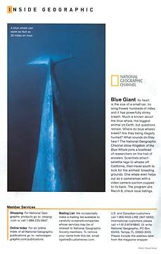 national geographic magazine articles - Google Search Whale Photo, Magazine Layout Inspiration, History Photography, Newspaper Layout, Magazine Spreads, Photography Professional, National Geographic Magazine, Welcome Letters, Magazine Layout Design