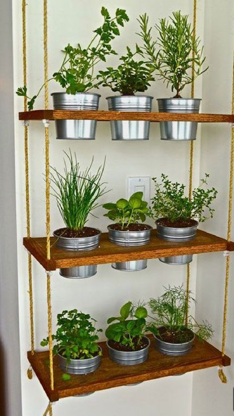 Herbs Garden Indoor, Diy Garden Landscaping, Vertical Garden Indoor, Diy Herb Garden, Indoor Herb, نباتات منزلية, Herb Garden Design, Herbal Plants, Indoor Design