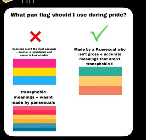 Fake Lgbtq Flags, Fake Pride Flags, Holding Pride Flag Pose Reference, Rabies Pride, Pansexual Pride Day, Pansexual Aesthetic, Lgbtq Pins, Pride Aesthetic, Genderfluid Flag