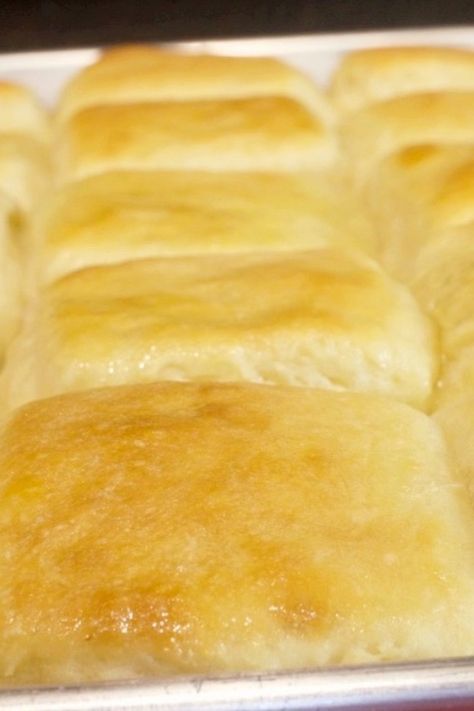 A pan of homemade soft and fluffy Angel Rolls. Make Ahead Yeast Rolls Thanksgiving, Angel Rolls, Recipe For Dinner Rolls, Simple Breads, My Country Table, Quick Rolls, Scrumptious Food, Breaking Bread, Easy Rolls